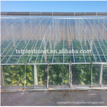 Quality primacy stylish design cucumber greenhouse used plastic film